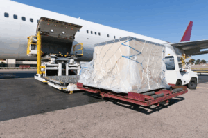 Transportations Skills